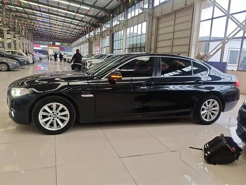 BMW 5 Series 2014 520Li Elegance фото 4