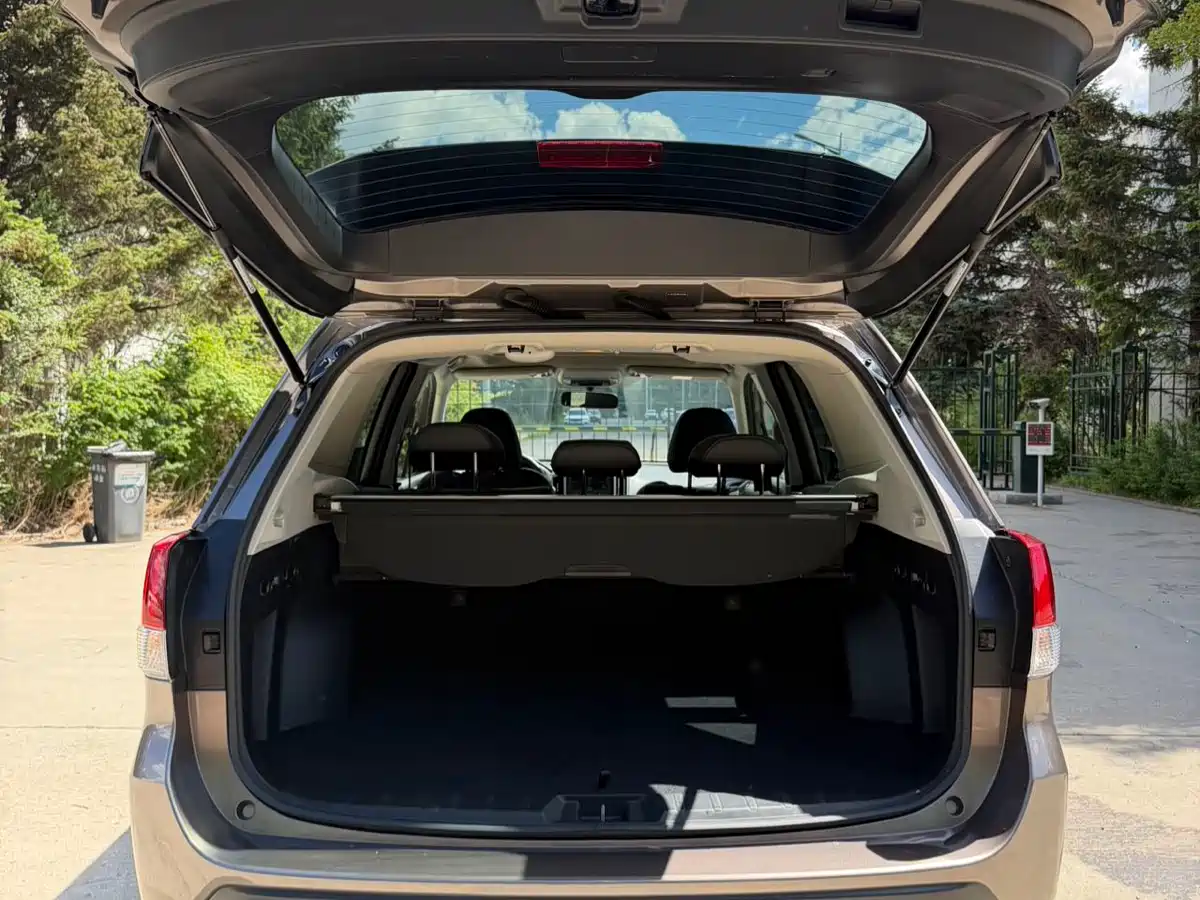 Subaru Forester 2022 2.0i AWD Luxury Edition фото 12