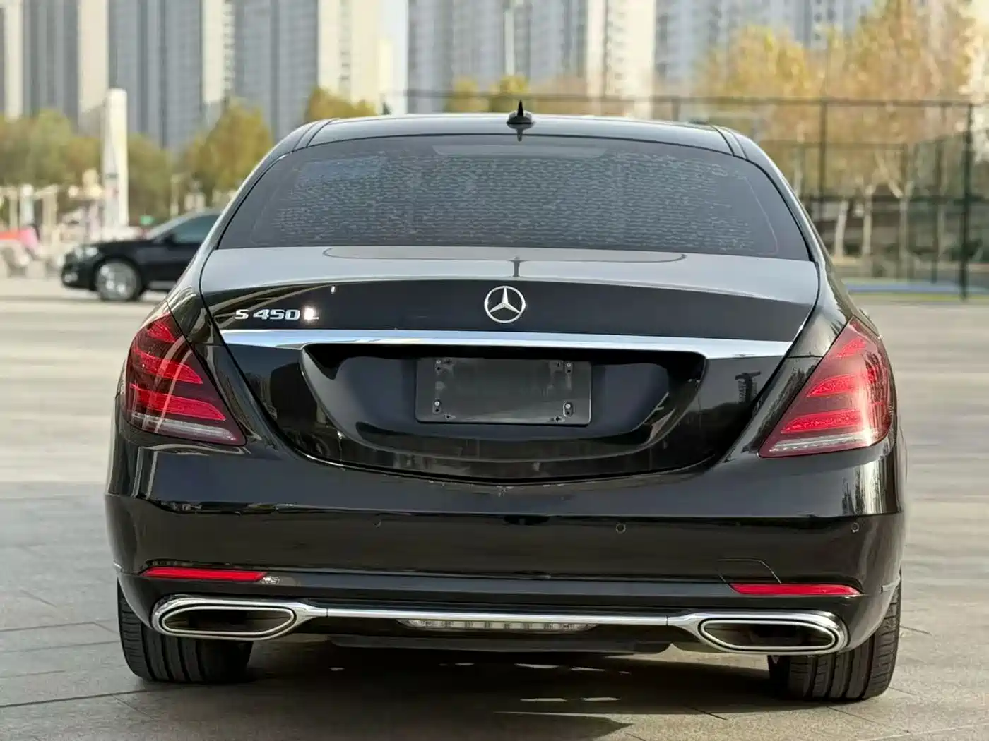 Mercedes-Benz S-Class 2018 S 350 L фото 8
