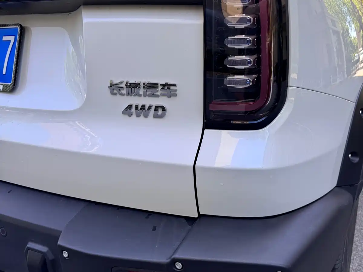 Haval Big Dog 2024 2.0T DCT Chinese Rural Dog Edition фото 7