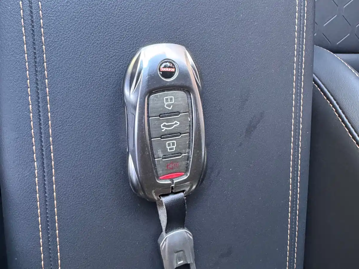 Haval Big Dog 2024 2.0T DCT Chinese Rural Dog Edition фото 22