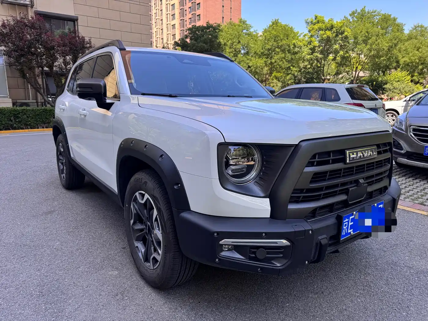Haval Big Dog 2024 2.0T DCT Chinese Rural Dog Edition фото 3