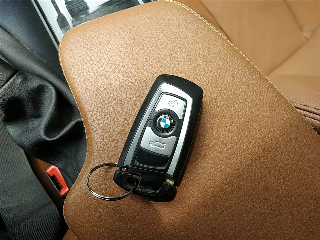 BMW 3 Series 2016 320Li Luxury Design Package фото 9