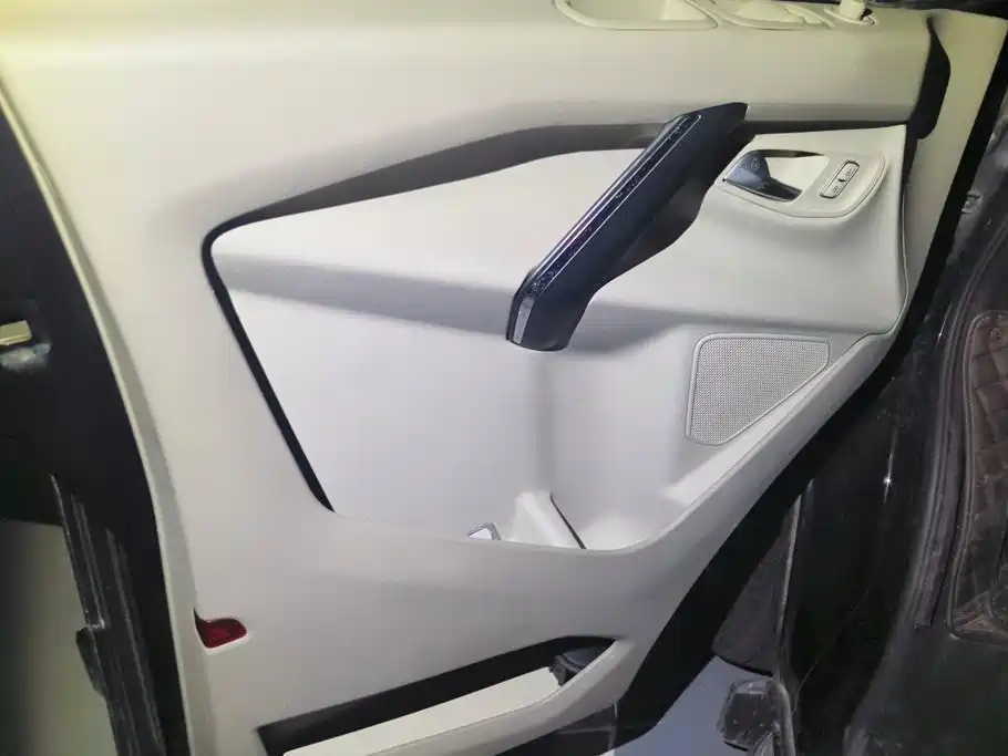 Ford Tourneo 2020 2020 2.0T Auto Jingrui Edition China VI