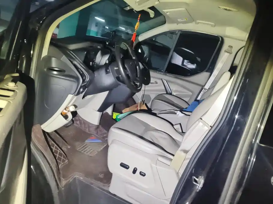 Ford Tourneo 2020 2020 2.0T Auto Jingrui Edition China VI
