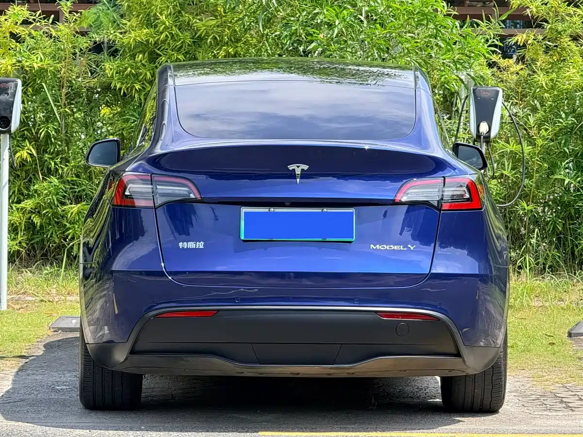 Tesla Model Y 2021 2021 Long Range All-Wheel Drive 3D7