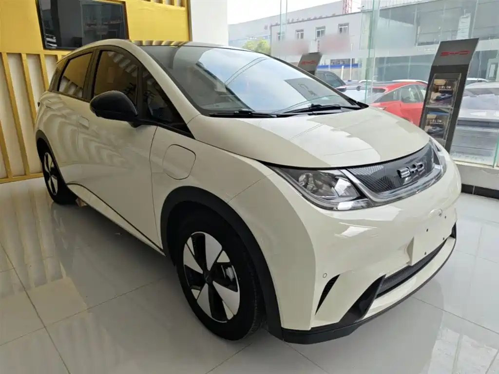 BYD Dolphin 2023 420km Fashion Edition фото 4