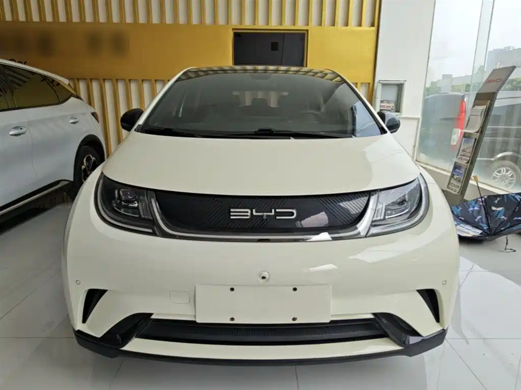 BYD Dolphin 2023 420km Fashion Edition фото 3