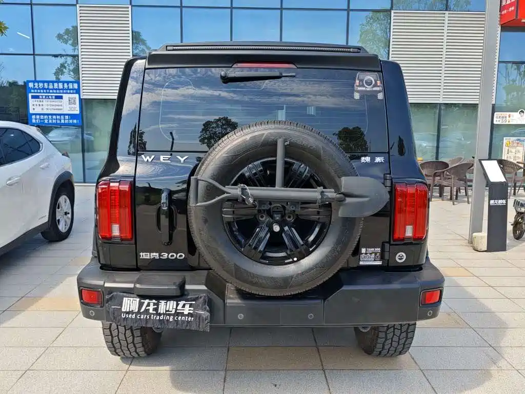 Tank 300 2021 2021 Off-road Version 2.0T Conqueror