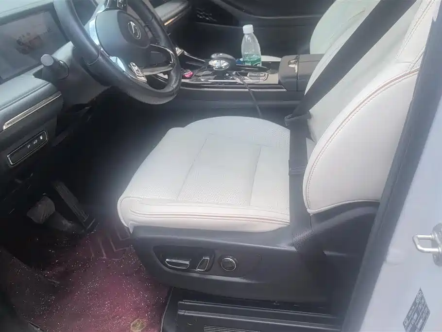GAC Trumpchi Trumpchi E9 2023 E9 MAX фото 9
