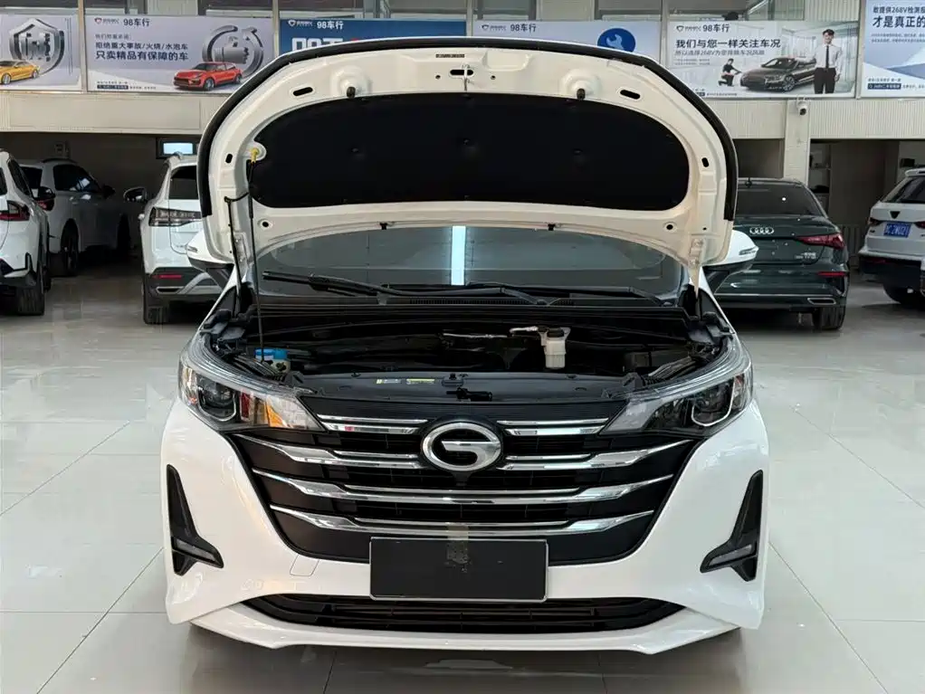 GAC Trumpchi Trumpchi M6 2021 270T DCT Luxury Edition (7-Seater) фото 7