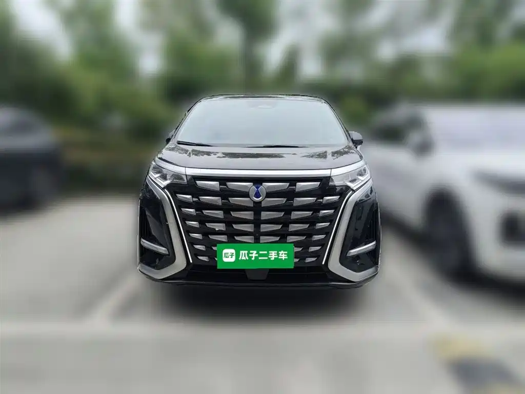 Denza D9 2024 DM-i 980 AWD Prestige фото 24