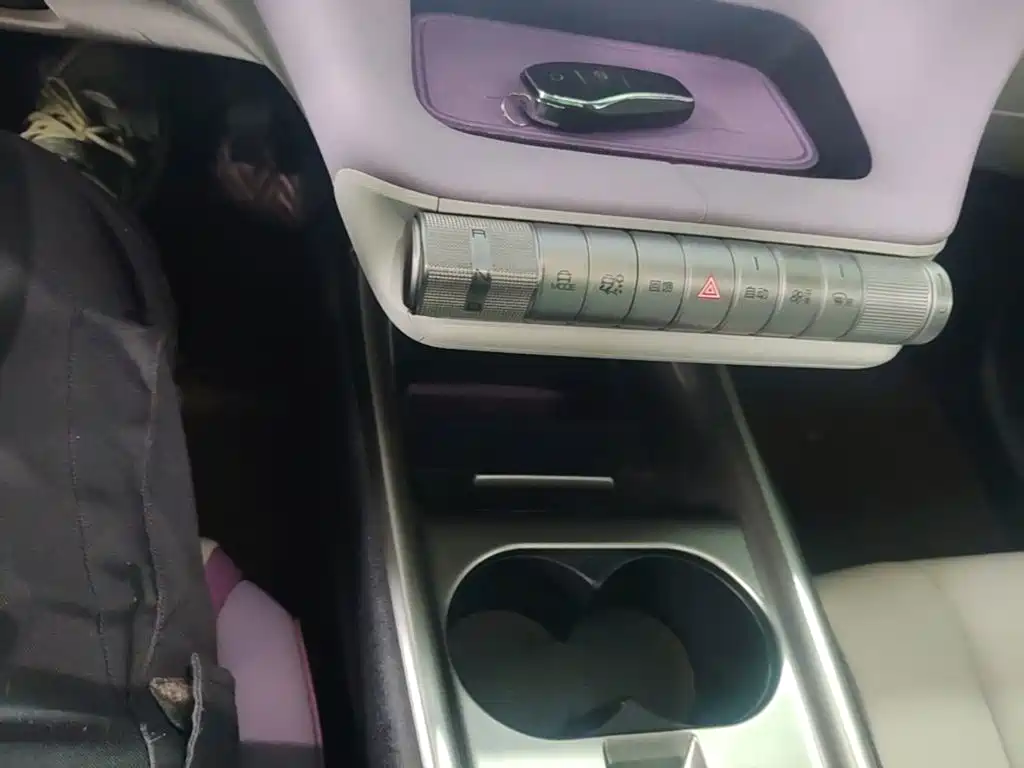 BYD Dolphin 2022 2021 401km Knight Edition