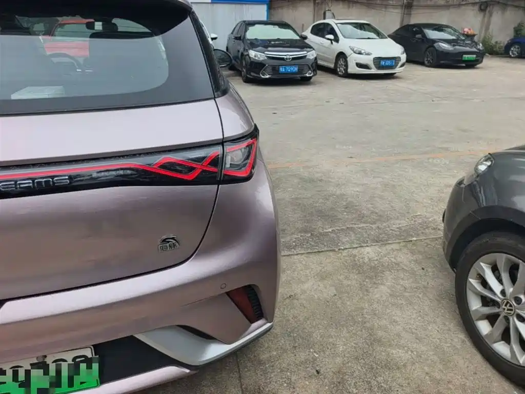 BYD Dolphin 2021 Model 405km Fashion Edition фото 8