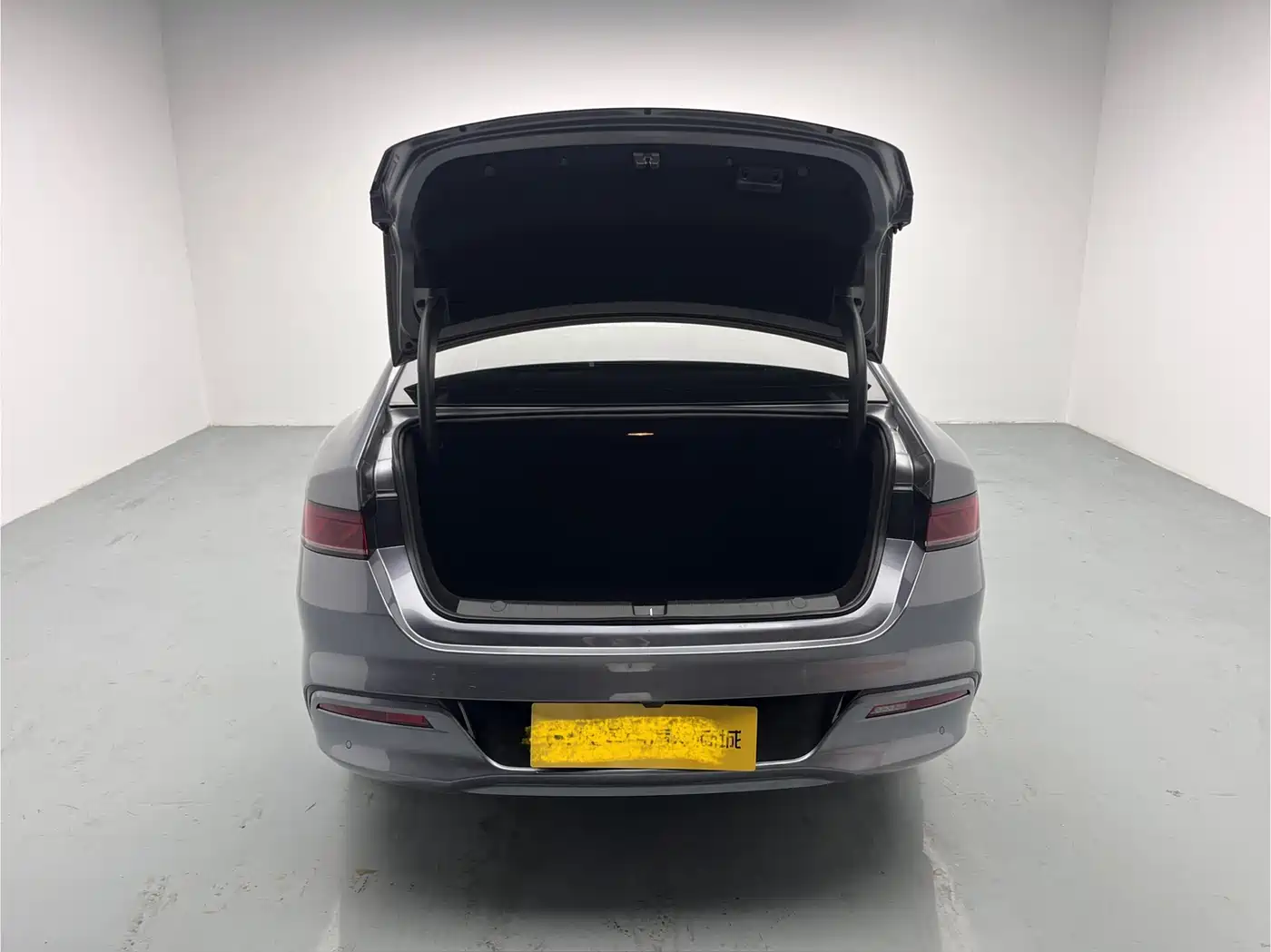 BYD Qin PLUS 2024 Glory Edition EV 420KM Leading фото 8