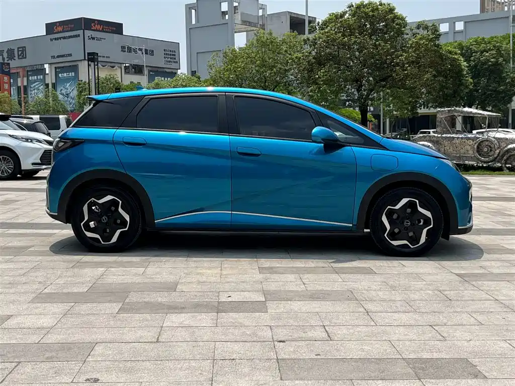 BYD Dolphin 2021 Model 405km Fashion Edition фото 4