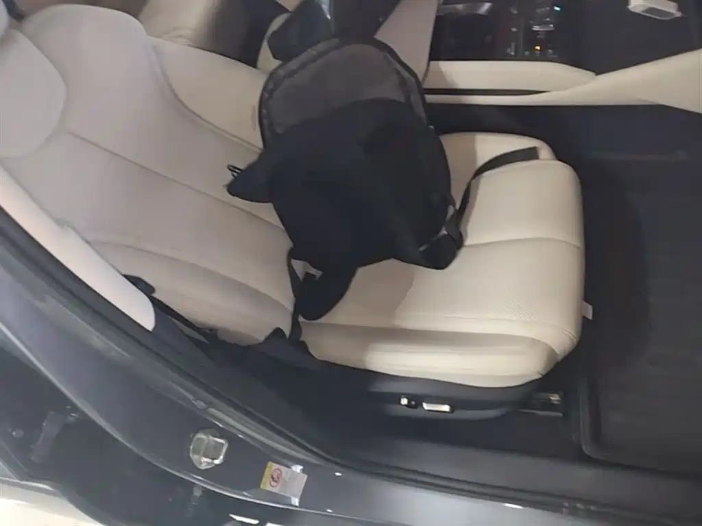 BYD Qin L 2024 DM-i 120KM Superior Edition фото 25