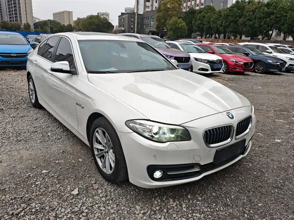 BMW 5 Series (Import) 2015 520i Elegance фото 22