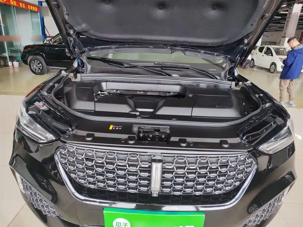 WEY VV6 2020 2020 2.0T 2WD Smart Protection+