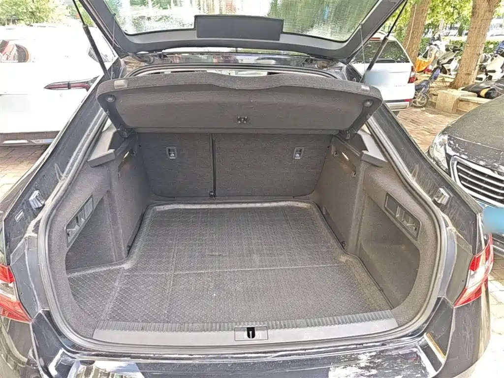 Škoda Superb 2016 TSI280 DSG Pioneer Edition фото 19