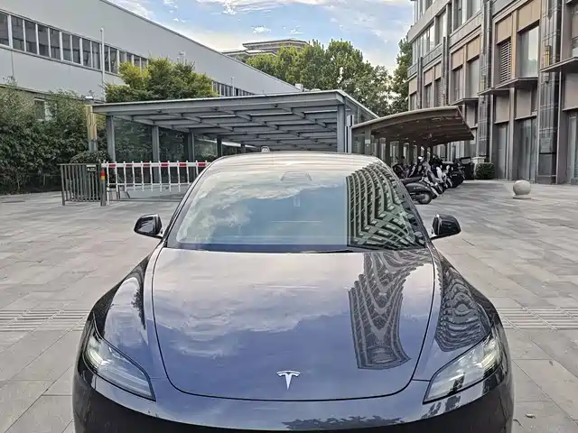 Tesla Model 3 Задний привод