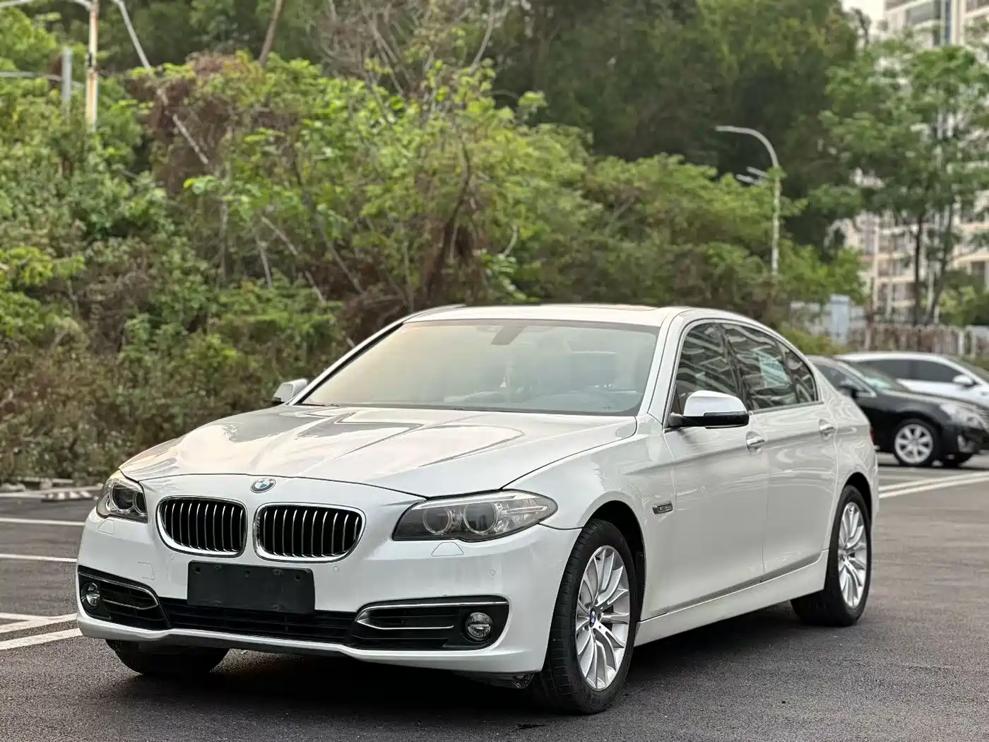 BMW 5 Series 2014 525Li Luxury Design Package