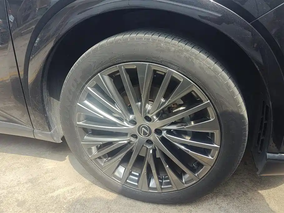 Lexus RX New Energy 2023 450h+ 4WD Enjoyment фото 6
