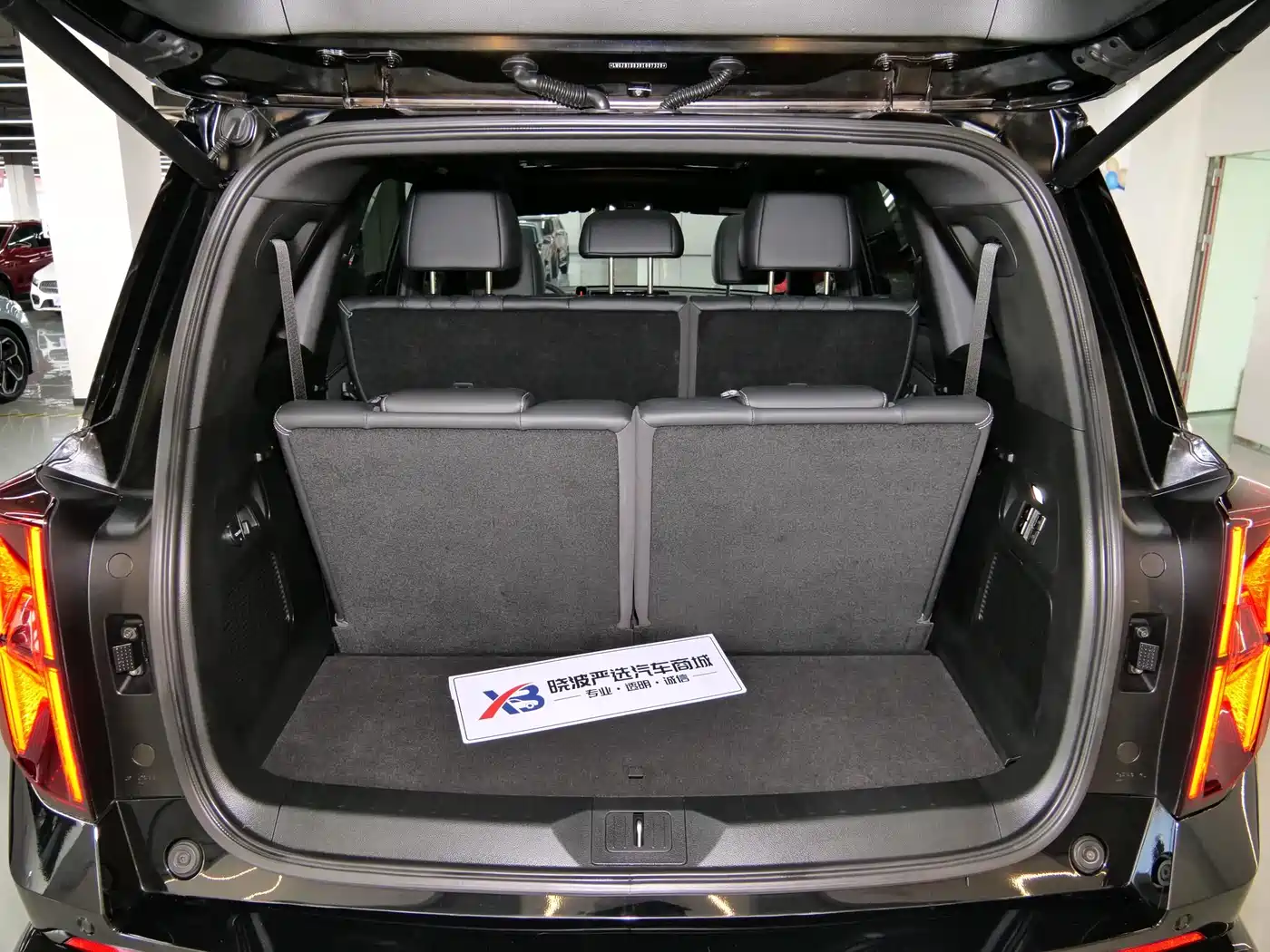 GAC Trumpchi Trumpchi GS8 2022 Dual Engine Series 2.0TM 2WD Premium Edition (7-Seater) фото 19
