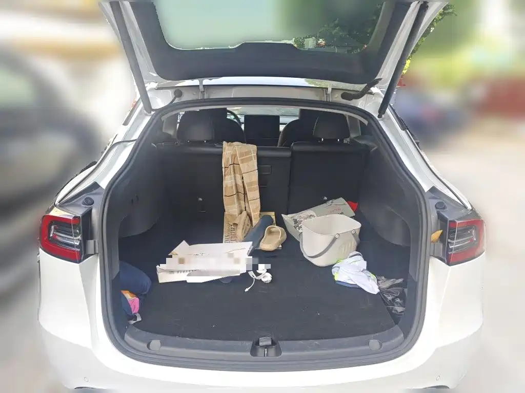 Tesla Model Y 2021 2021 Standard Range Rear-Wheel Drive
