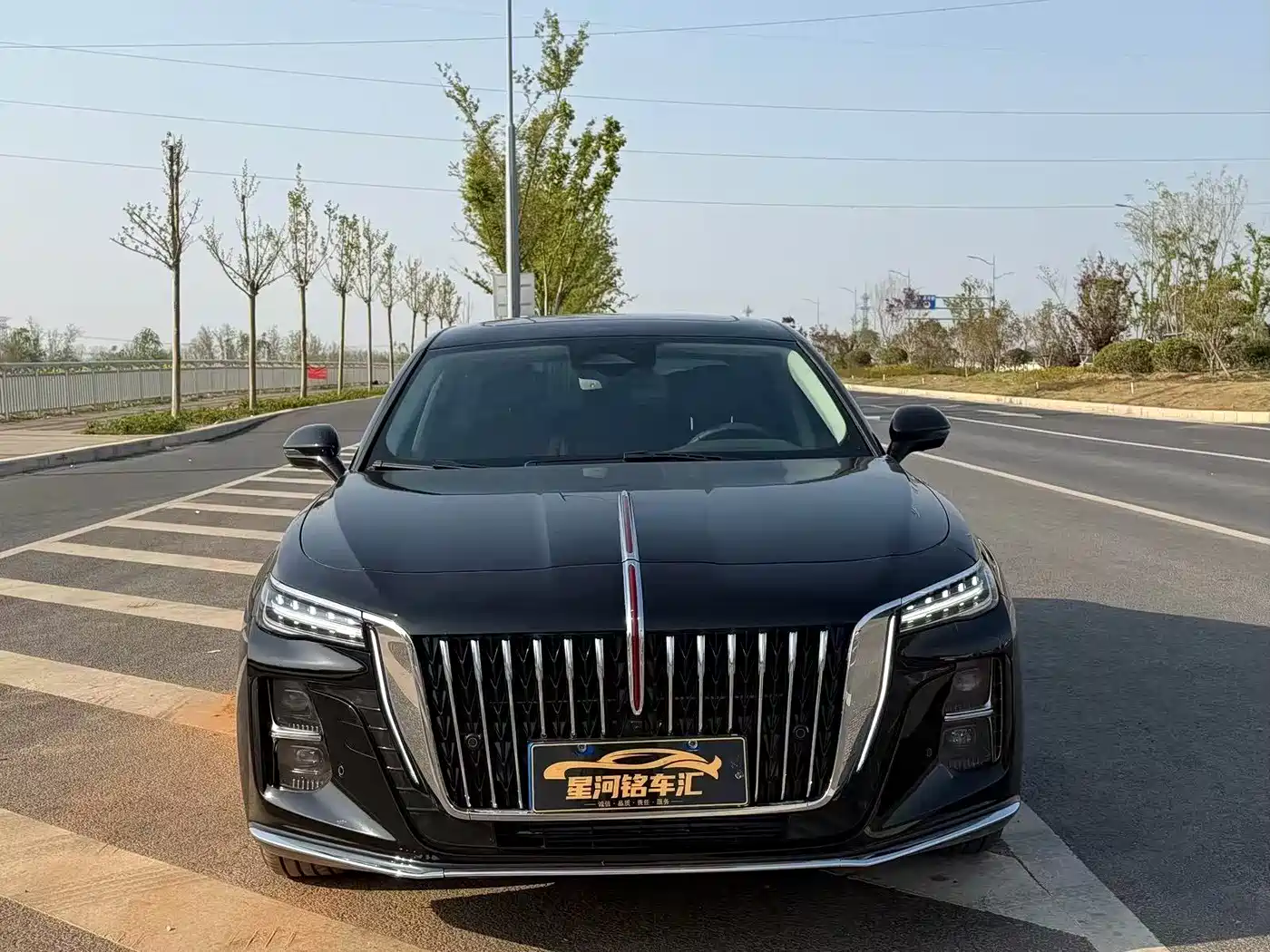 Hongqi H5 2025 2.0T Automatic Flag Celebration 500,000 Units Anniversary Edition фото 2