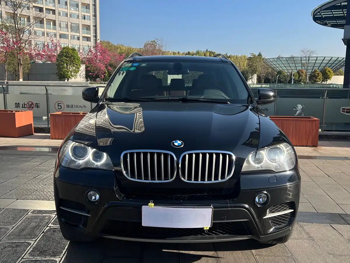 BMW X5 (Import) 2011 xDrive35i Leading Edition фото 2