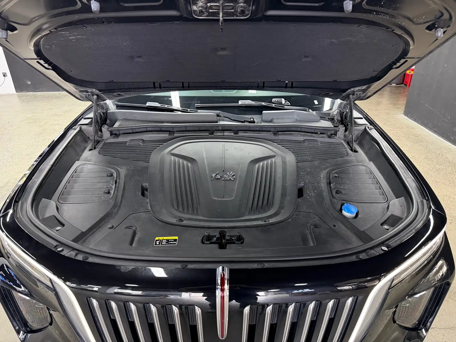 Фото 28 - Hongqi E-HS9