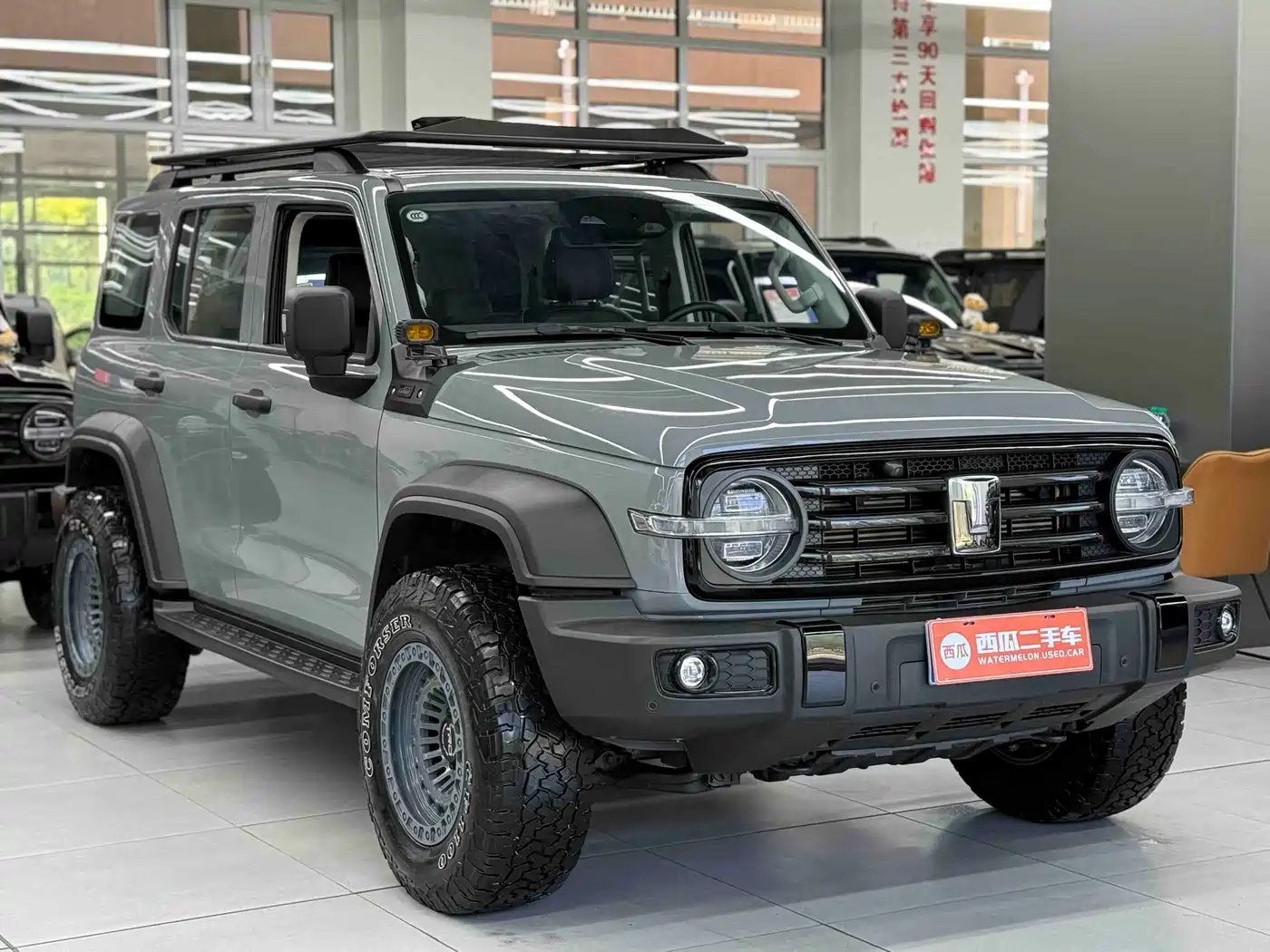 Tank 300 2021 Off-road Version 2.0T Conqueror фото 2
