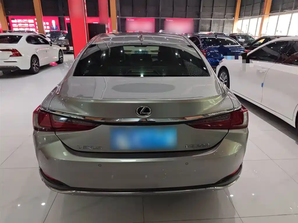 Lexus ES 2022 200 Excellence Edition фото 9