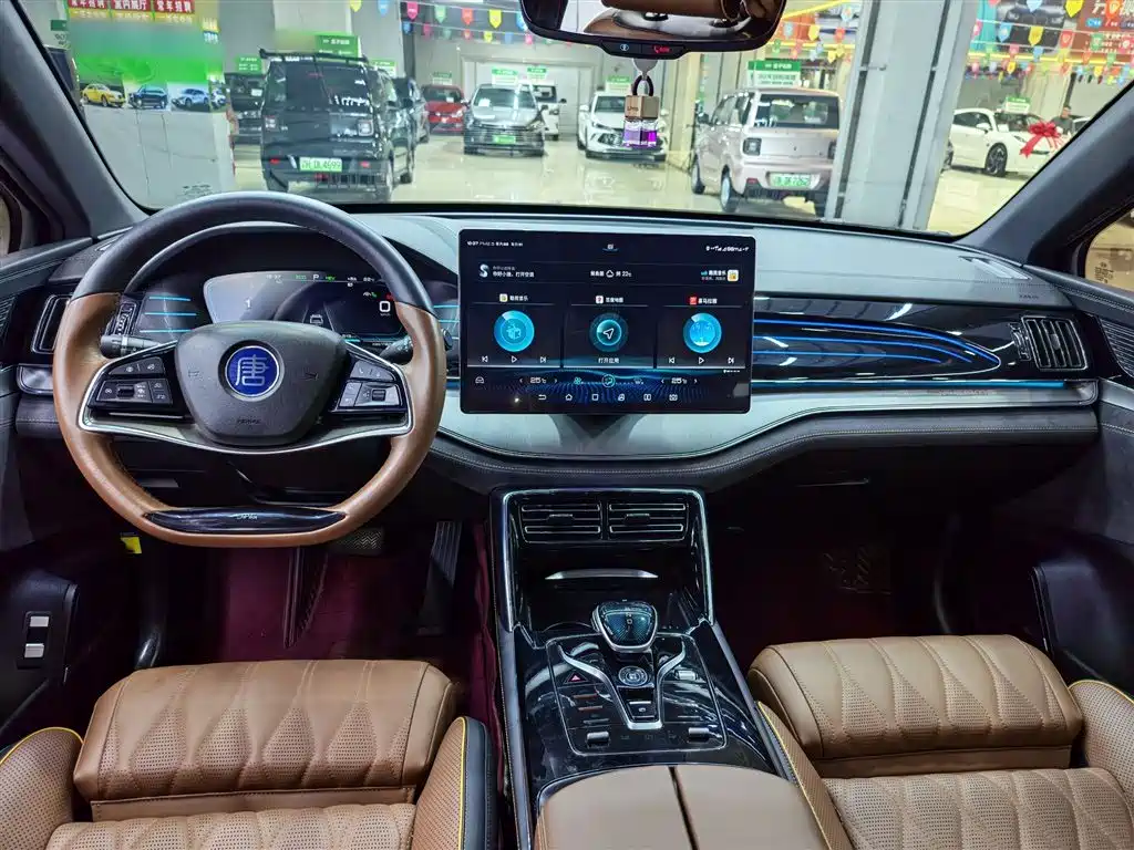 BYD Tang New Energy 2021 DM 2.0T AWD High Performance Genesis Flagship фото 8