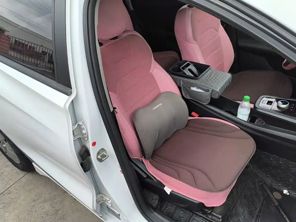 BYD e2 2022 2021 Standard