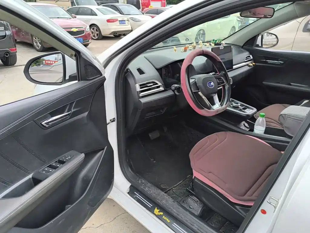 BYD e2 2022 2021 Standard