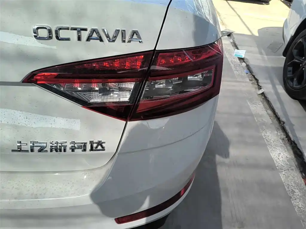 Škoda Octavia 2019 1.5L Auto Comfort Edition фото 8