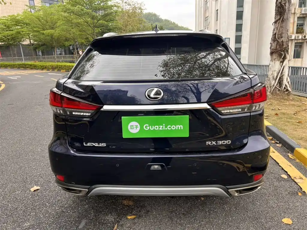 LEXUS RX