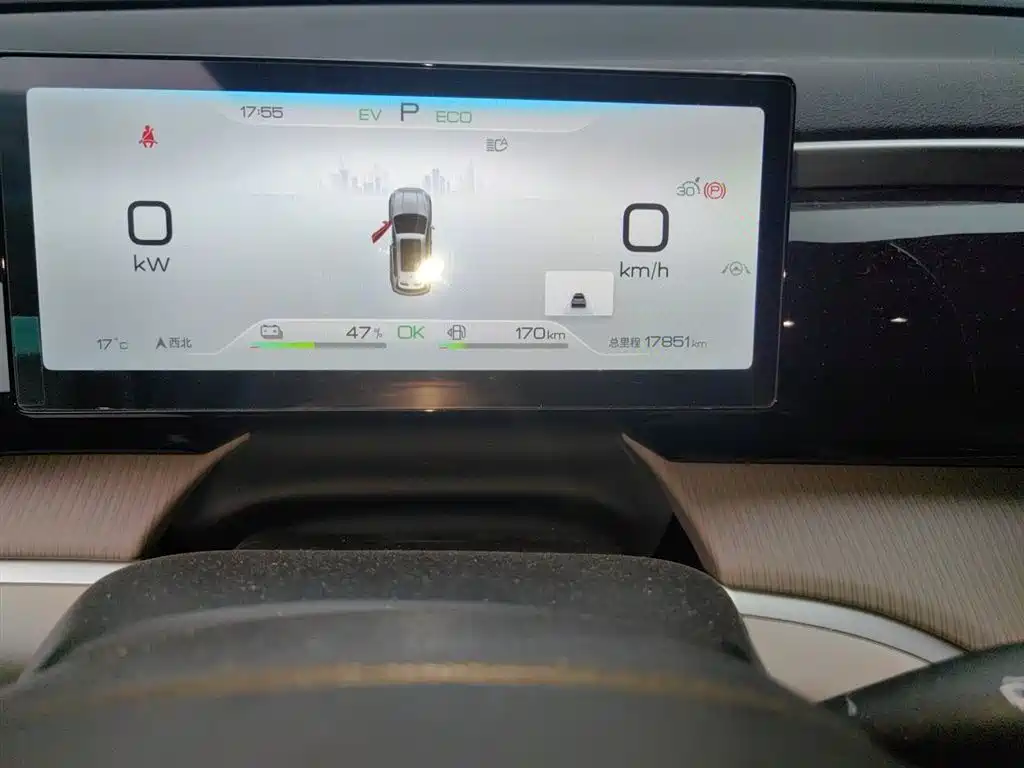 BYD Song Pro New Energy 2024 Glory Edition DM-i 110KM Surpassing фото 8