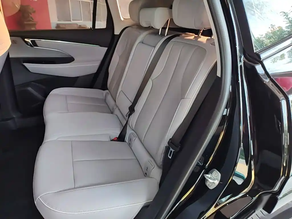 Buick E5 2024 2023 Premium Standard Range Edition