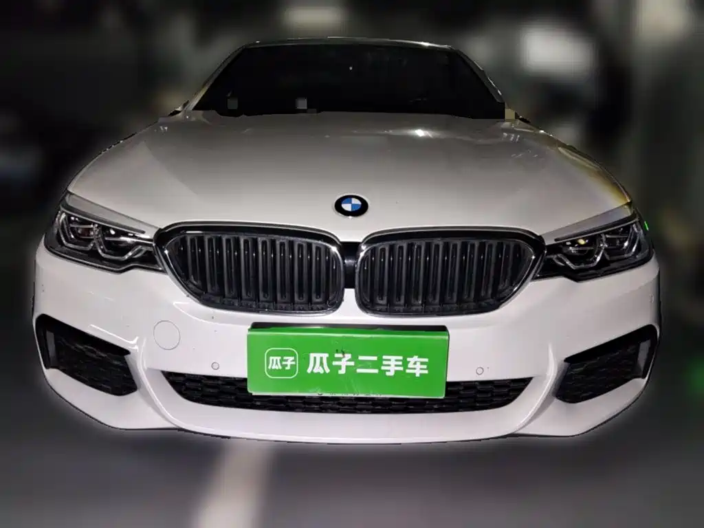 BMW 5 Series 2020 530Li Leading M Sport Package фото 23