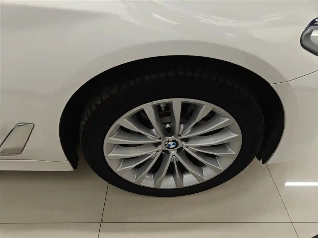 BMW 5 Series New Energy 2021 535Le Luxury Package фото 8