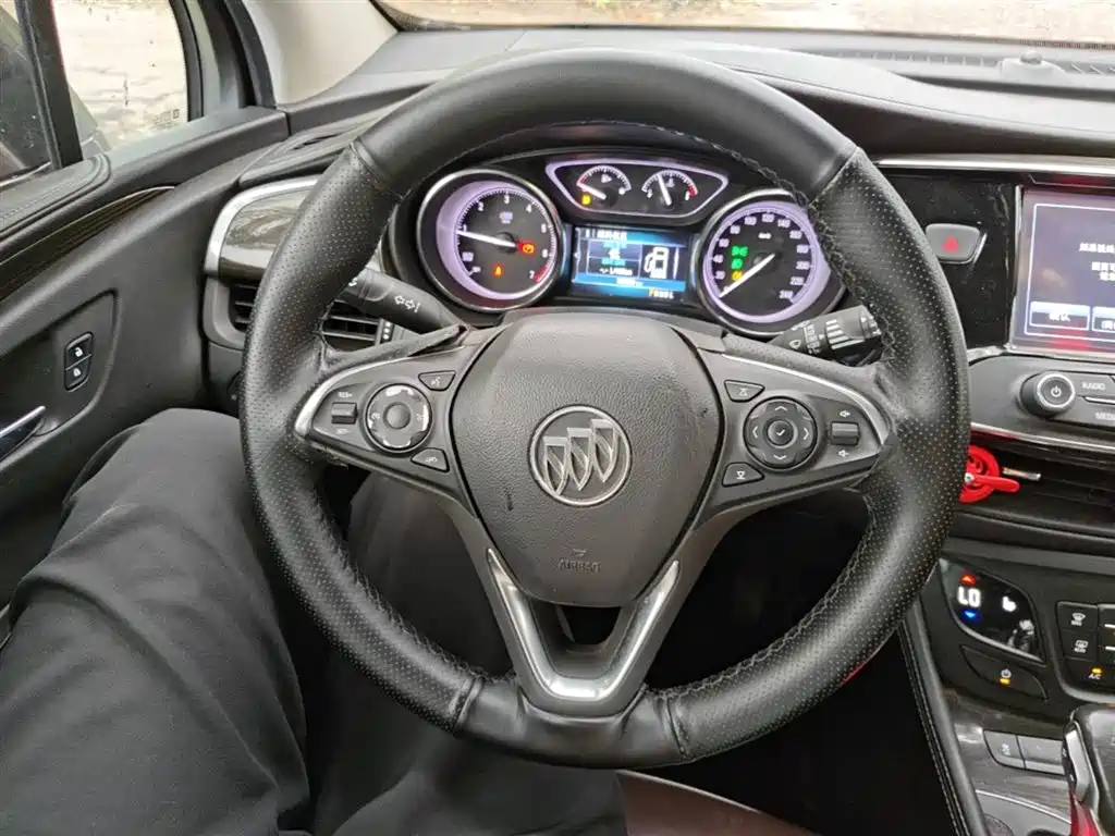 Buick Envision Plus 2018 20T 2WD Elite фото 11