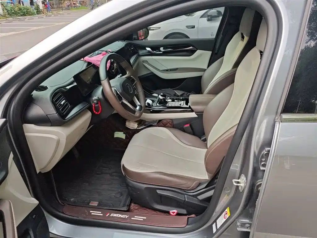BYD Qin PLUS 2024 Glory Edition DM-i 55KM Leading фото 11