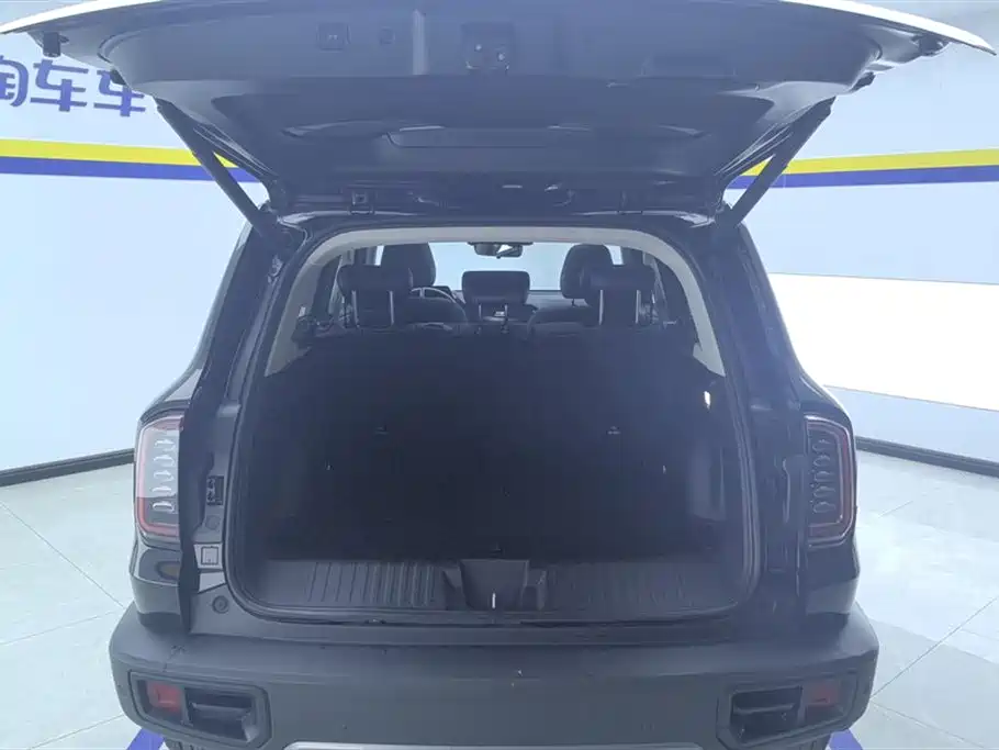 Haval Big Dog 2024 1.5T DCT Border Collie Edition фото 4