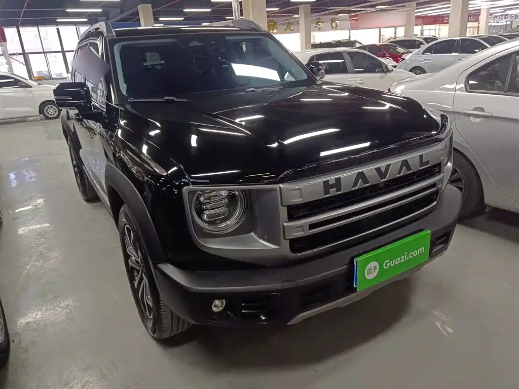 Haval Big Dog 2024 1.5T DCT Border Collie Edition фото 22