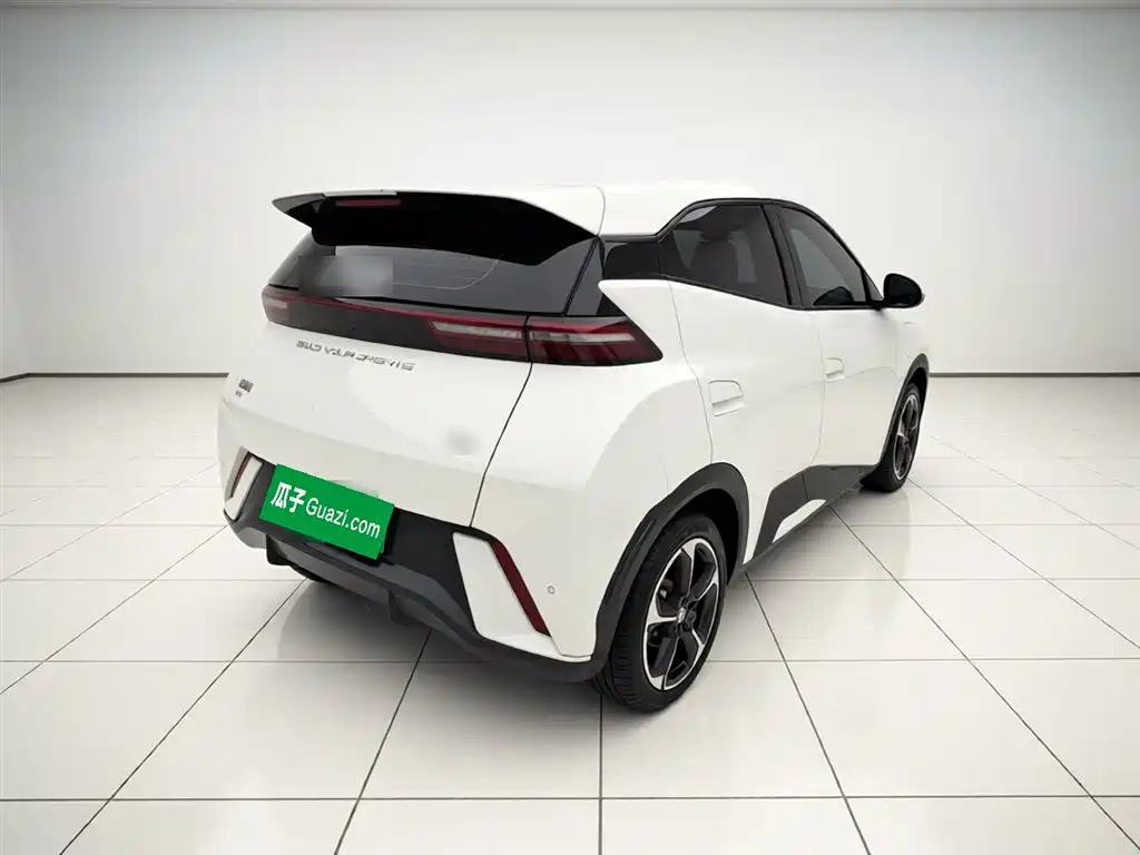BYD Seagull 2023 Freedom Edition фото 4
