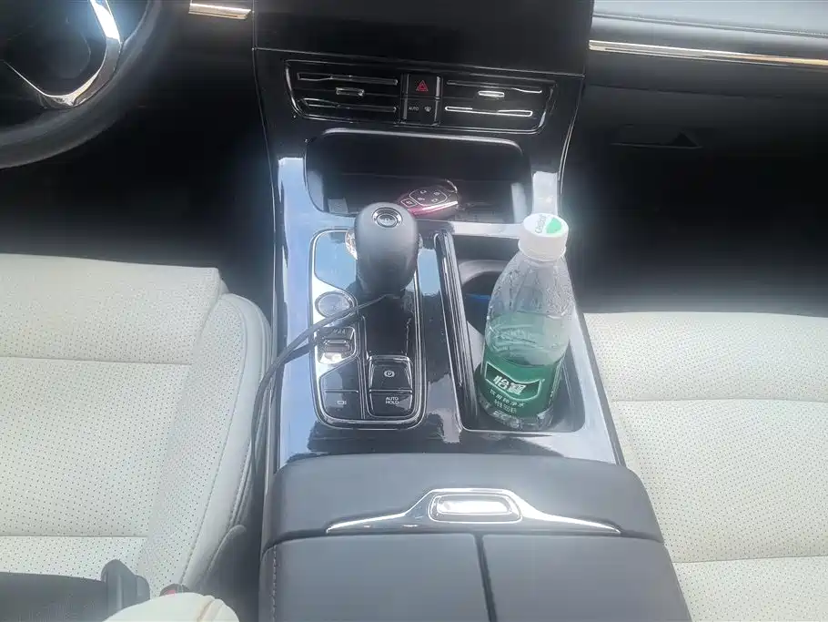 GAC Trumpchi Trumpchi E9 2023 E9 MAX фото 16
