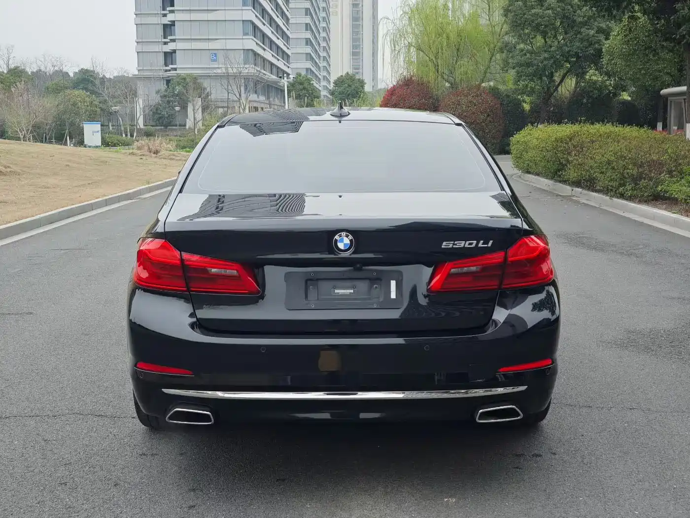 BMW 5 Series 2018 Facelift 530Li Leading Luxury Package фото 5